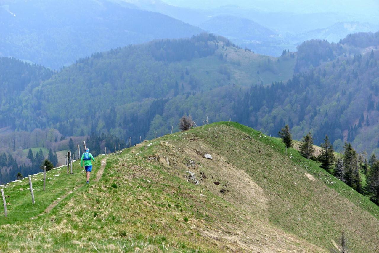 Holiday Home Davča Cerkno Dış mekan fotoğraf