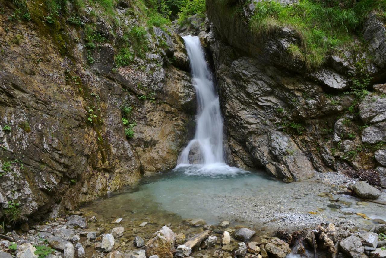 Holiday Home Davča Cerkno Dış mekan fotoğraf