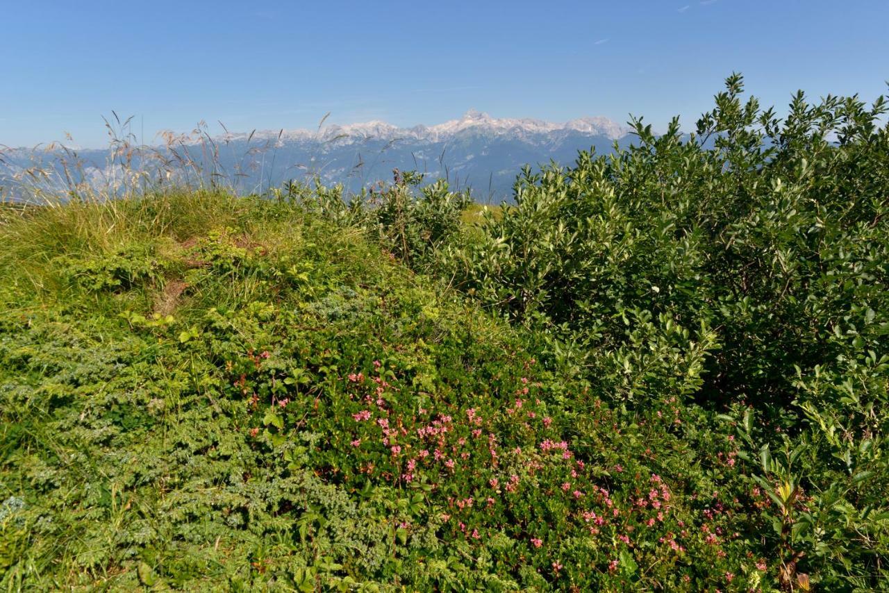 Holiday Home Davča Cerkno Dış mekan fotoğraf