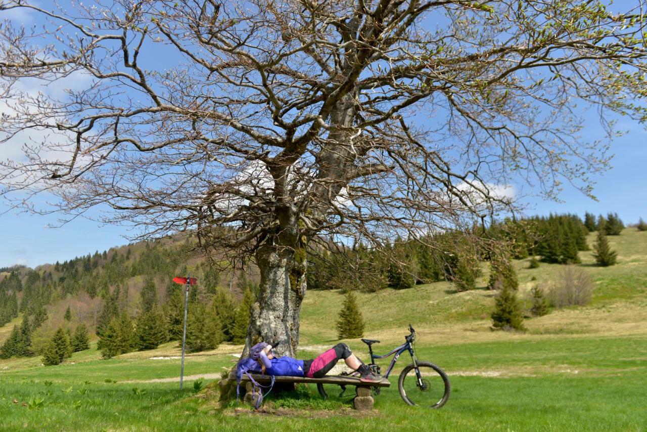 Holiday Home Davča Cerkno Dış mekan fotoğraf